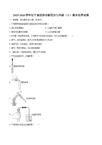 2025-2026学年辽宁省沈阳市新民市九年级（上）期末化学试卷-自定义类型