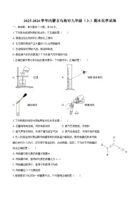 2025-2026学年内蒙古乌海市九年级（上）期末化学试卷-自定义类型