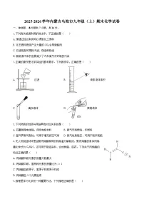 2025-2026学年内蒙古乌海市九年级（上）期末化学试卷-自定义类型