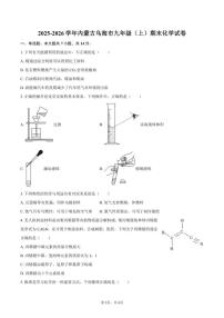 2025-2026学年内蒙古乌海市九年级（上）期末化学_(含答案_)试卷