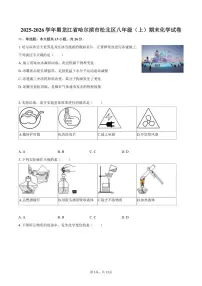 2025-2026学年黑龙江省哈尔滨市松北区八年级（上）期末化学试卷（含答案）