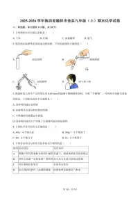 2025-2026学年陕西省榆林市佳县九年级（上）期末化学_(含答案_)试卷