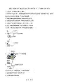 2025-2026学年黑龙江省大庆市九年级（上）期末化学试卷（含答案）