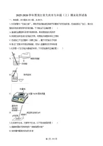 2025-2026学年黑龙江省大庆市九年级（上）期末化学试卷（含答案）