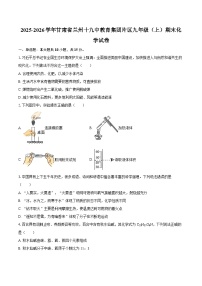 2025-2026学年甘肃省兰州十九中教育集团片区九年级（上）期末化学试卷-自定义类型