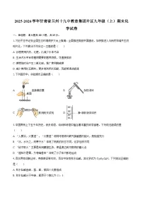 2025-2026学年甘肃省兰州十九中教育集团片区九年级（上）期末化学试卷-自定义类型