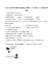 2025-2026学年内蒙古兴安盟乌兰浩特十二中九年级（上）期末化学试卷-自定义类型