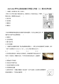 2025-2026学年山西省运城市万荣县九年级（上）期末化学试卷-自定义类型