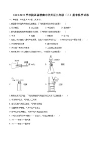 2025-2026学年陕西省渭南市华州区九年级（上）期末化学试卷-自定义类型