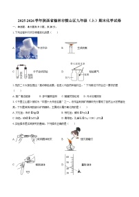 2025-2026学年陕西省榆林市横山区九年级（上）期末化学试卷-自定义类型
