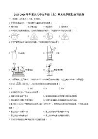 2025-2026学年重庆八中九年级（上）期末化学模拟练习试卷-自定义类型