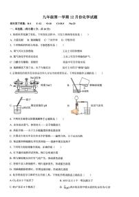 2025-2026学年山东省青岛市部分学校九年级上学期12月月考化学试卷（有答案）