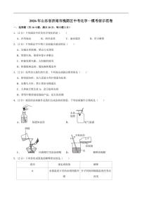 2026年山东省济南市槐荫区中考一模考前示范化学试卷（有解析）