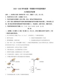 2025-2026学年广东省茂名市化州市九年级上学期期中考试化学试卷(有答案)