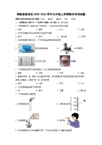 2025-2026学年海南省临高县九年级上学期期末考试化学试卷（学生版）