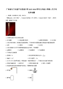 广东省江门市恩平市圣堂中学2025-2026学年九年级上学期1月月考化学试题-自定义类型