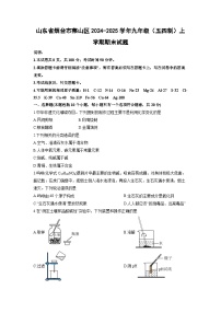 2024-2025学年山东省烟台市莱山区九年级（五四制）上学期期末化学试卷（学生版）