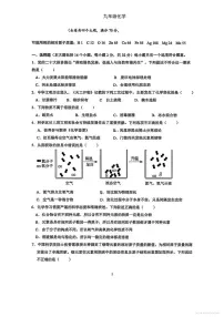 重庆市鲁能巴蜀中学校2025-2026学年九年级上学期一月月考化学试卷