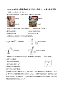 2025-2026学年安徽省淮南市部分学校九年级（上）期末化学试卷（含答案）