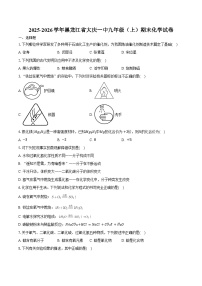 2025-2026学年黑龙江省大庆一中九年级（上）期末化学试卷（含答案）
