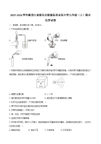 2025-2026学年黑龙江省绥化市绥棱县林业局中学九年级（上）期末化学试卷（含答案）