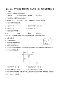2025-2026学年江苏省南京市联合体九年级（上）期末化学模拟试卷（含答案）