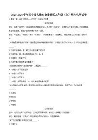 2025-2026学年辽宁省大连市金普新区九年级（上）期末化学试卷（含答案）