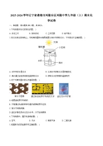 2025-2026学年辽宁省盘锦市兴隆台区兴隆中学九年级（上）期末化学试卷（含答案）