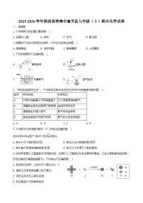 2025-2026学年陕西省渭南市潼关县九年级（上）期末化学试卷（含答案）