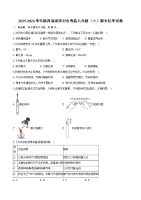 2025-2026学年陕西省咸阳市永寿县九年级（上）期末化学试卷（含答案）