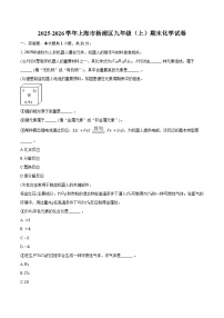 2025-2026学年上海市杨浦区九年级（上）期末化学试卷（含答案）