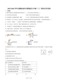 2025-2026学年安徽省亳州市蒙城县九年级（上）期末化学试卷（含答案）