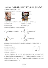 2025-2026学年安徽省淮南市部分学校九年级（上）期末化学试卷（含答案）