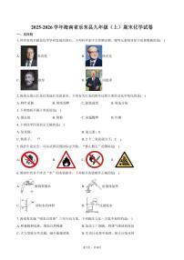 2025-2026学年海南省乐东县九年级（上）期末化学试卷（含答案）