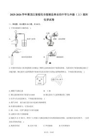 2025-2026学年黑龙江省绥化市绥棱县林业局中学九年级（上）期末化学试卷（含答案）