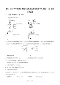 2025-2026学年黑龙江省绥化市绥棱县林业局中学九年级（上）期末化学试卷（含答案）