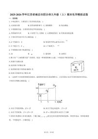 2025-2026学年江苏省南京市联合体九年级（上）期末化学模拟试卷（含答案）