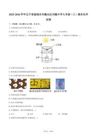 2025-2026学年辽宁省盘锦市兴隆台区兴隆中学九年级（上）期末化学试卷（含答案）