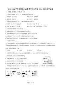 2025-2026学年宁夏银川市景博学校九年级（上）期末化学试卷（含答案）