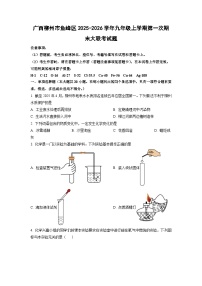 2025-2026学年广西柳州市鱼峰区九年级上学期第一次期末大联考化学试卷（学生版）