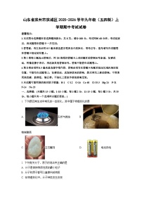 2025-2026学年山东省滨州市滨城区九年级（五四制）上学期期中考试化学试卷（学生版）
