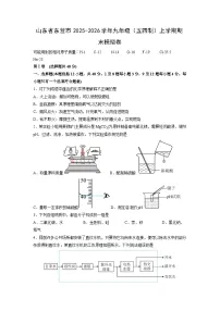 2025-2026学年山东省东营市九年级（五四制）上学期期末模拟卷化学试卷（学生版）
