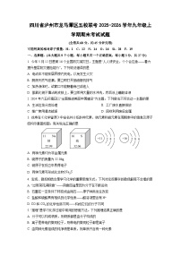2025-2026学年四川省泸州市龙马潭区五校联考九年级上学期期末考试化学试卷（学生版）