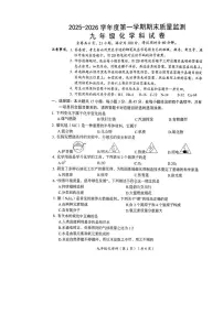 广东省汕头市澄海区2025-2026学年九年级上学期期末考试化学试卷