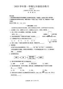 2026年上海市奉贤区中考一模九年级化学试题+答案