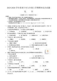 广西南宁市2025-2026 学年度九年级上学期期末综合训练化学试卷（含答案）