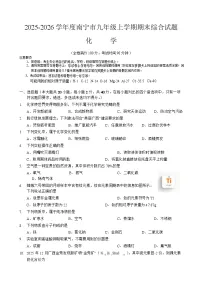 广西南宁市2025-2026 学年度九年级上学期期末综合训练化学试卷（含答案）