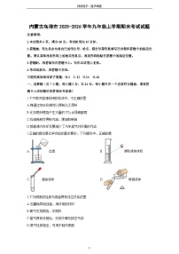 2025-2026学年内蒙古乌海市九年级上学期期末考试化学试卷（学生版）