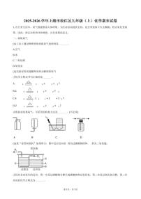 2025-2026学年上海市松江区九年级（上）化学期末试卷（含答案）