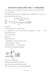 2025-2026学年上海市交大附中九年级（上）期末化学试卷（含答案）